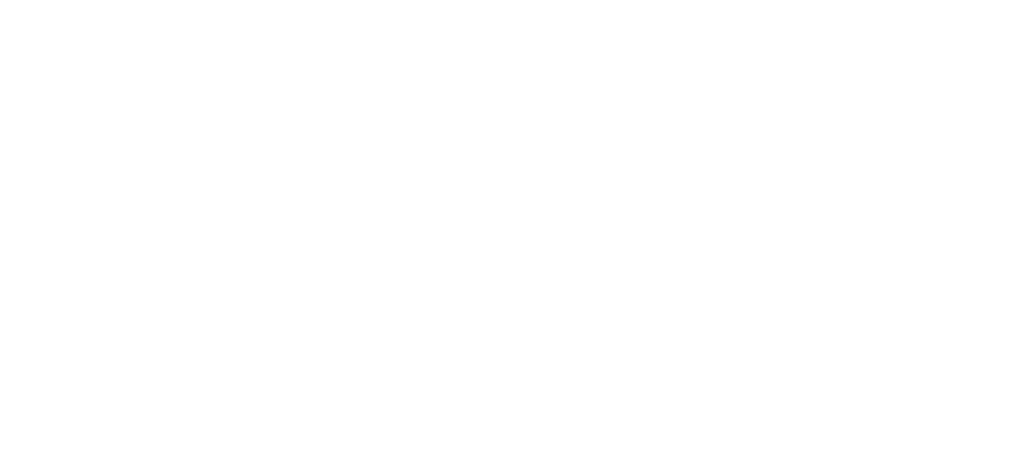 millennium advisory services